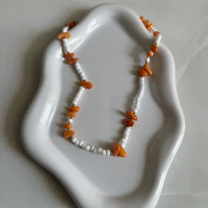 Salty Orange Coral
