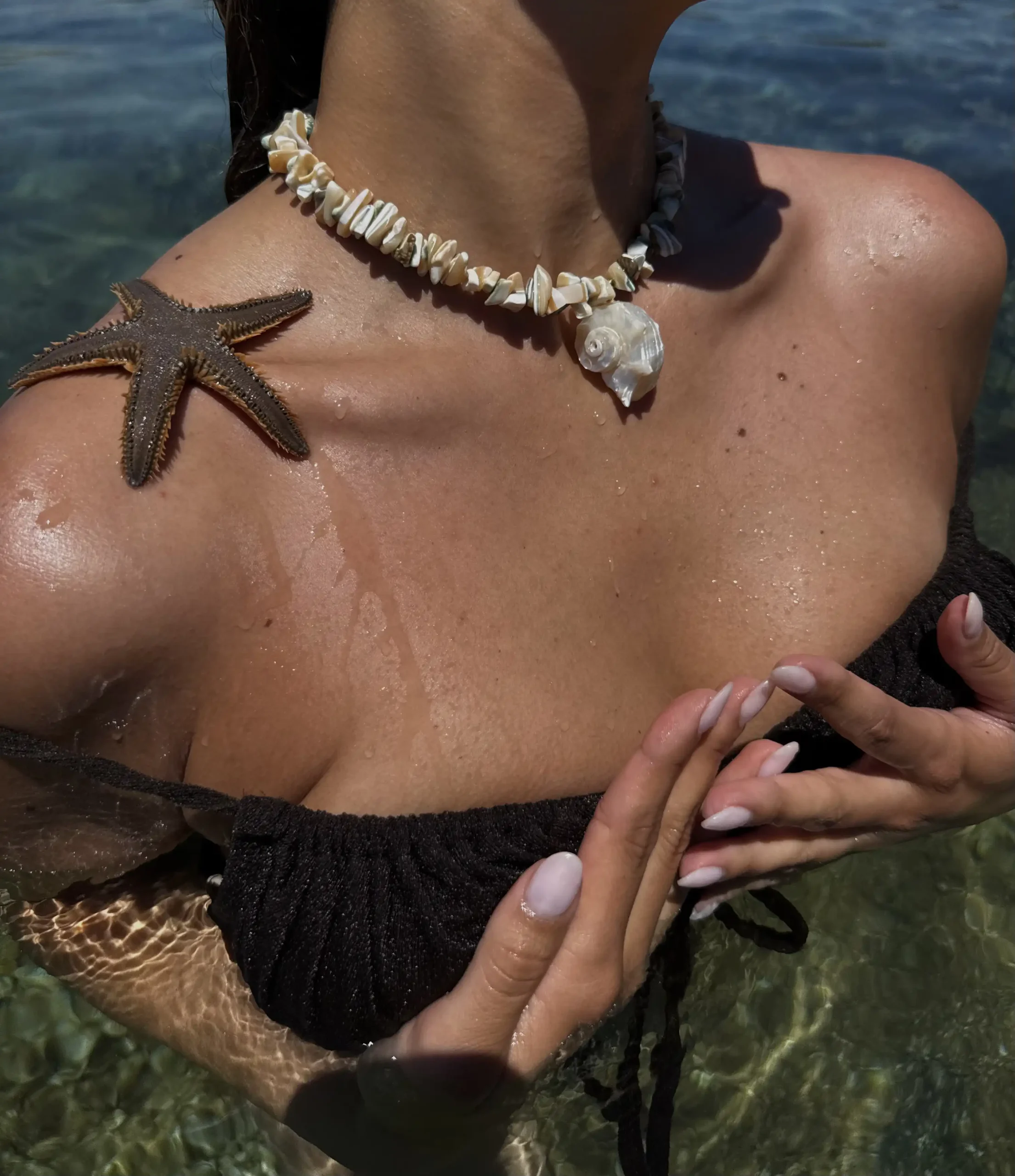 Nymphaea - Image 2