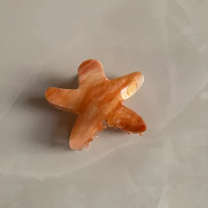 Estelle Orange Hair Clip